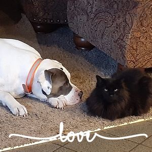 Meet your Posher, Sonia